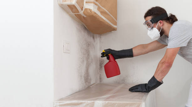 Professional Black Mold Remediation technician working in Brooks, KY